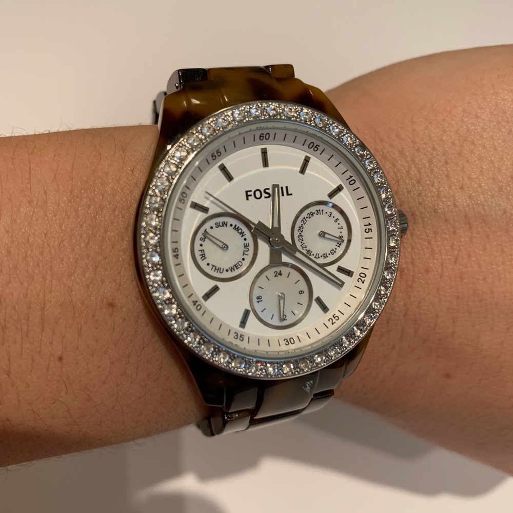 Tortoise fossil watch